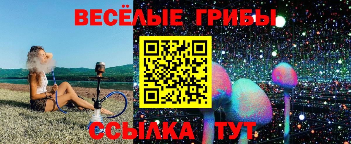 Псилоцибиновые грибы Cubensis  Вход с VPN  Псилоцибиновые грибы мицелий  Волгодонск 